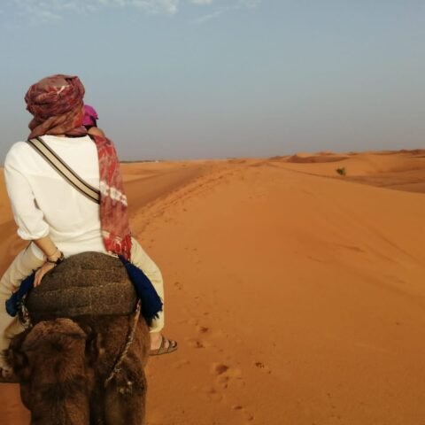 IMG-20230915-WA0231